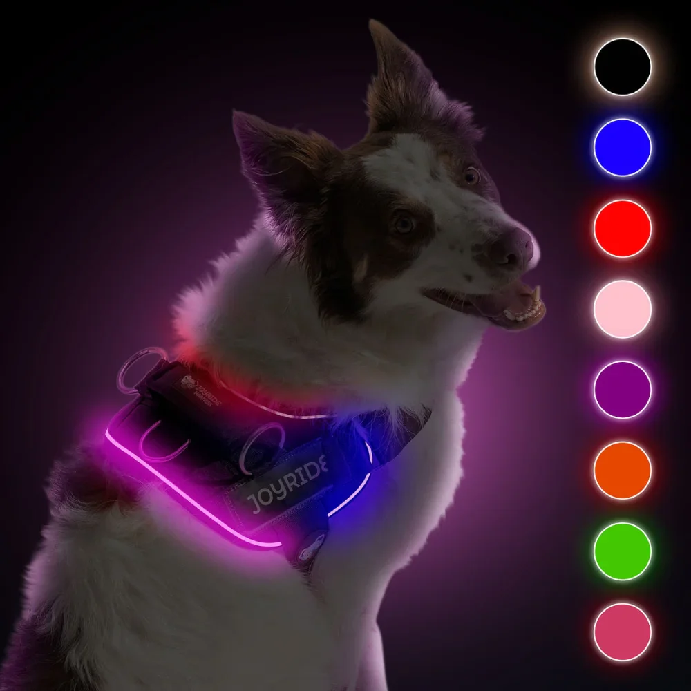 NEW! NightSafe LED Light Up Dog Harness 2.0 - Image 2