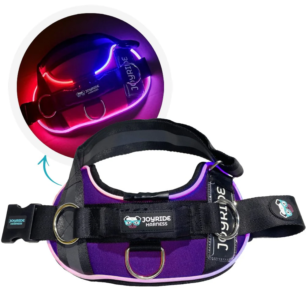 NEW! NightSafe LED Light Up Dog Harness 2.0 - Image 20