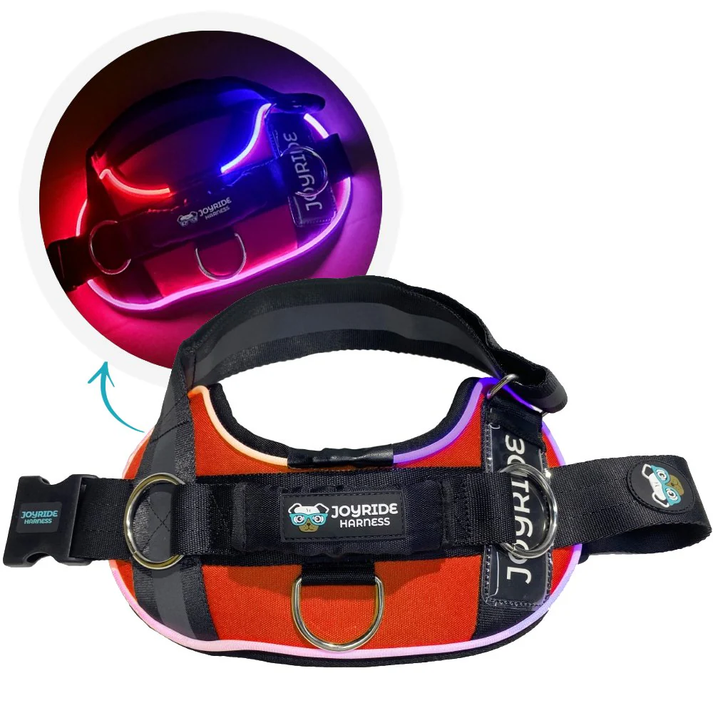 NEW! NightSafe LED Light Up Dog Harness 2.0 - Image 21