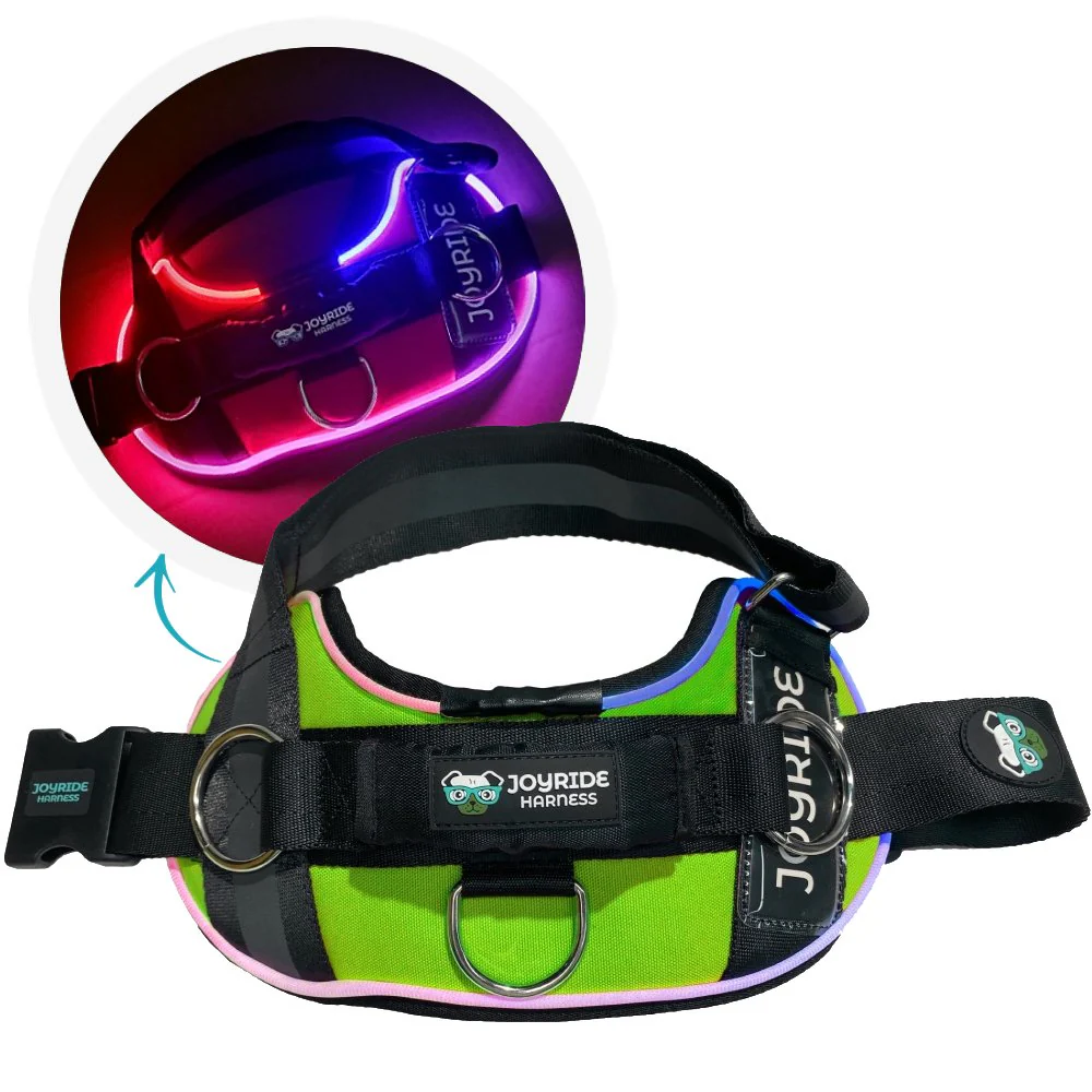 NEW! NightSafe LED Light Up Dog Harness 2.0 - Image 22