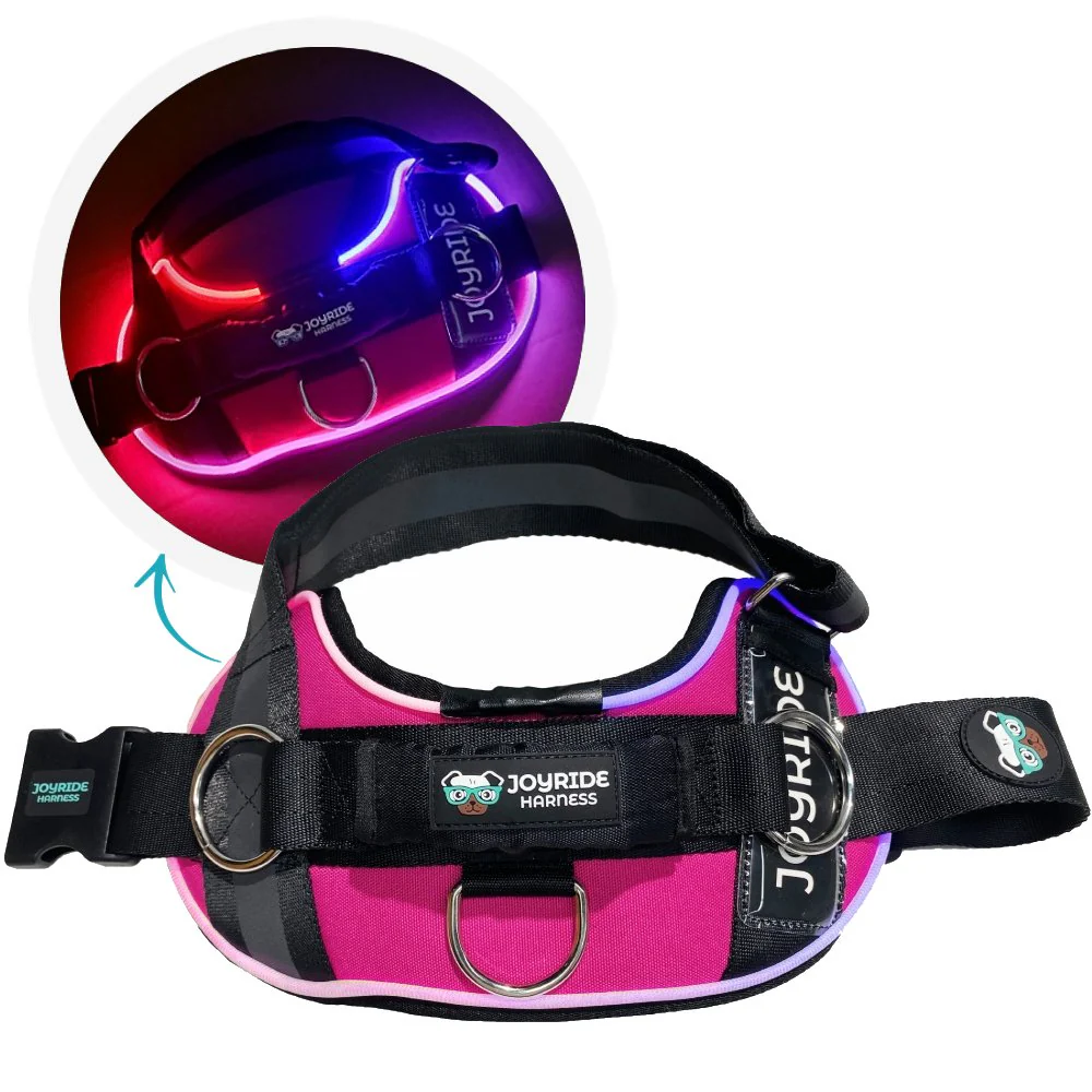NEW! NightSafe LED Light Up Dog Harness 2.0 - Image 23