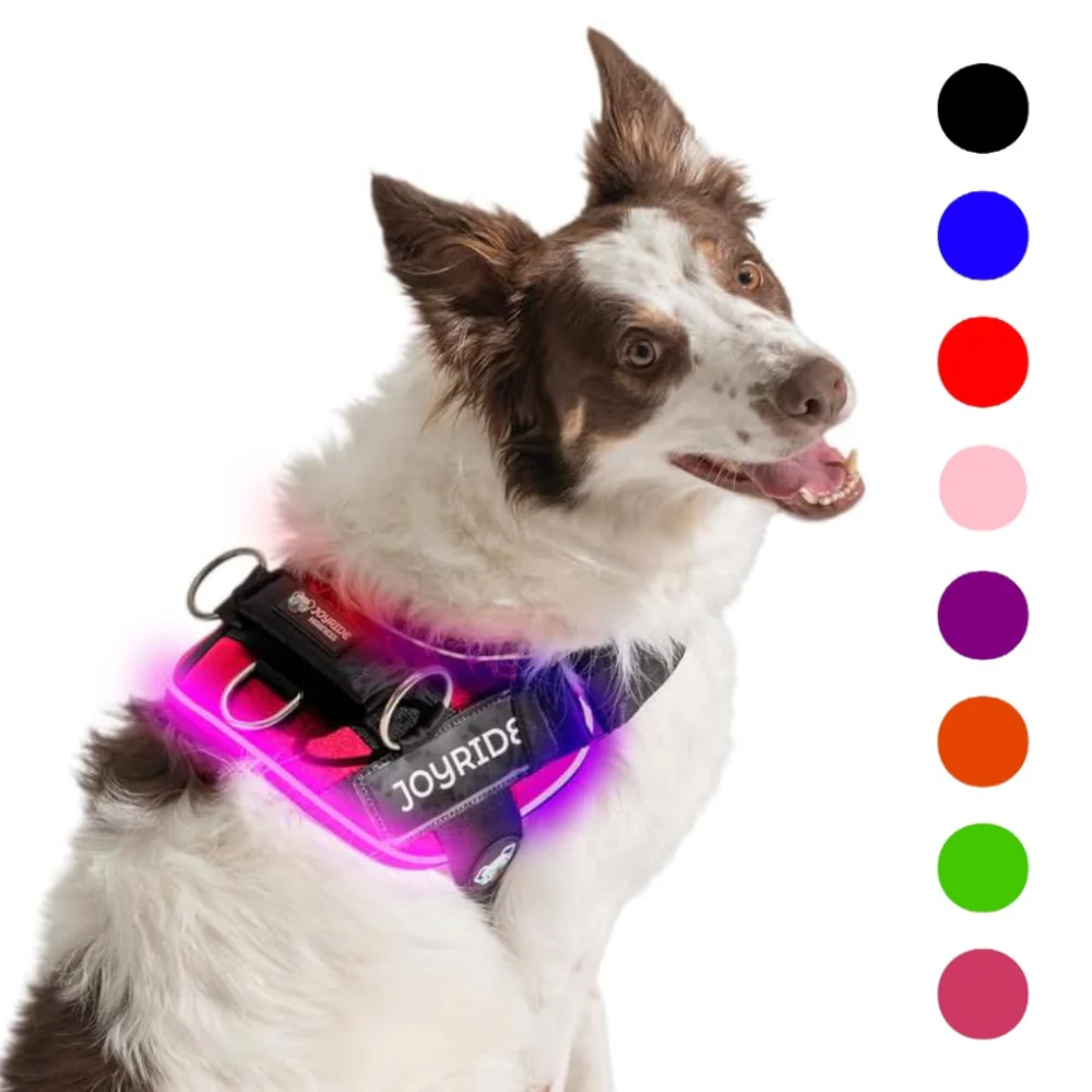 NEW! NightSafe LED Light Up Dog Harness 2.0 - Image 25