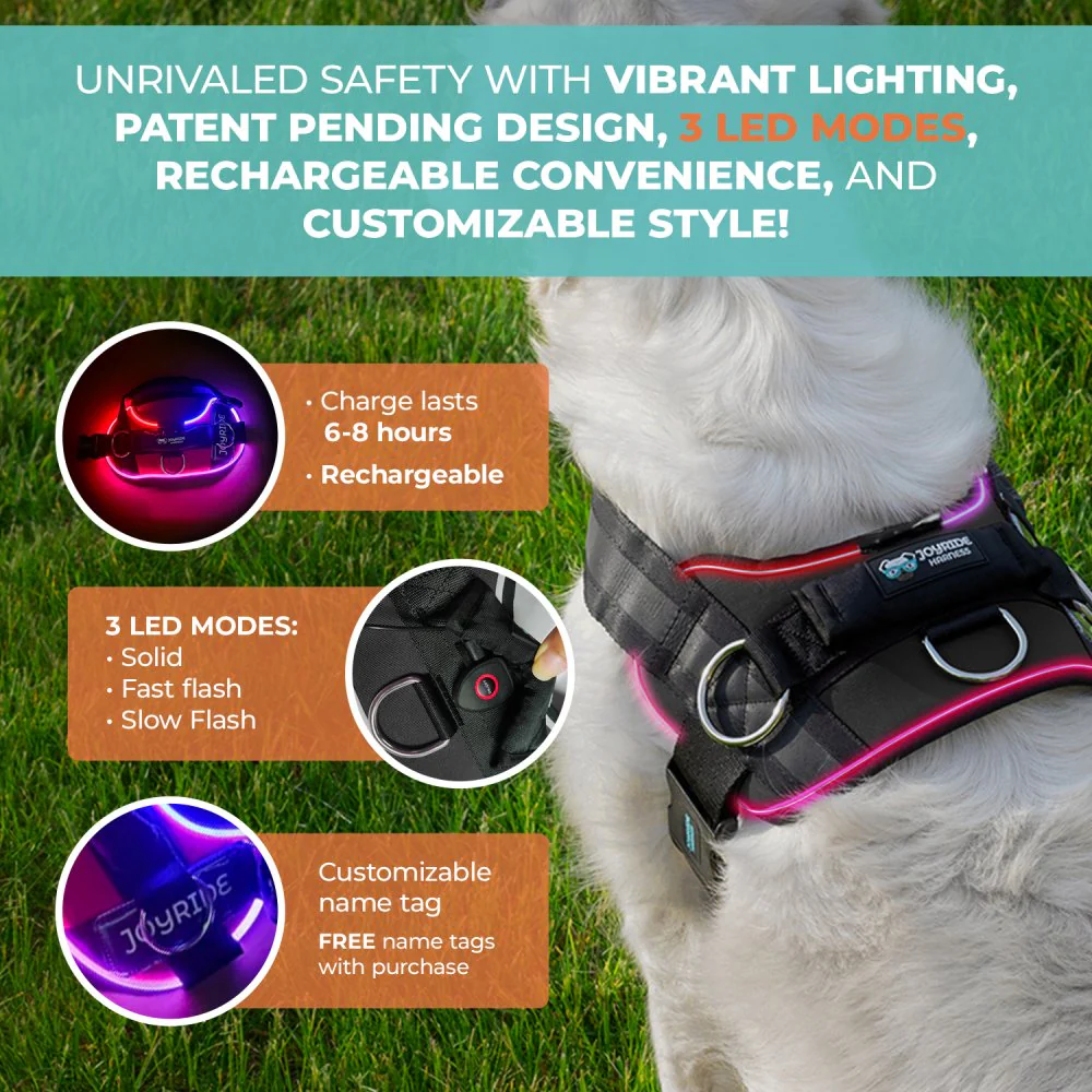 NEW! NightSafe LED Light Up Dog Harness 2.0 - Image 5