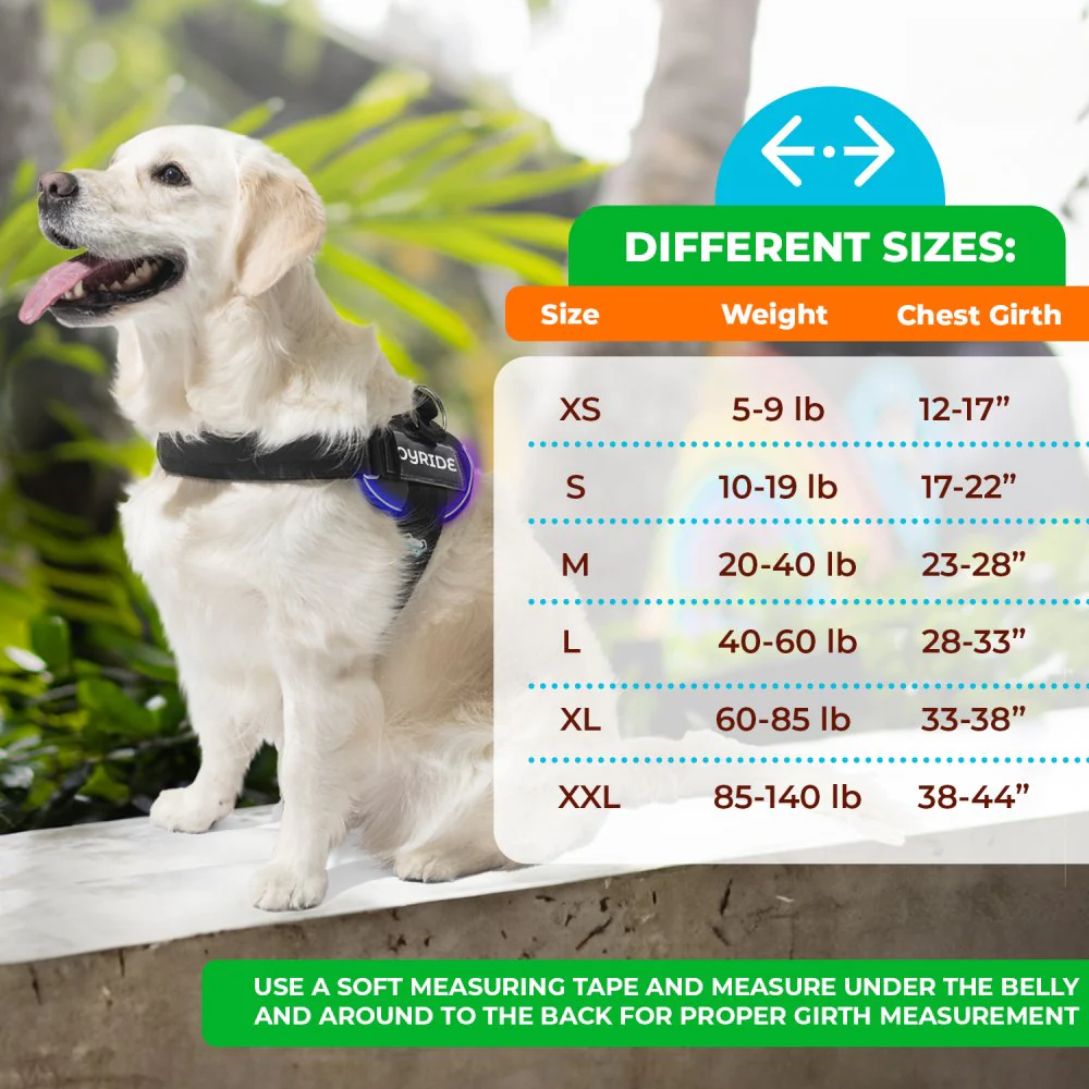 NEW! NightSafe LED Light Up Dog Harness 2.0 - Image 6