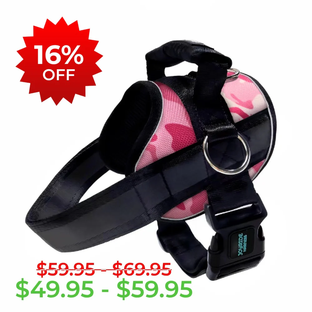 Pink Camo Joyride Premium Advanced Dog Harness 2.0