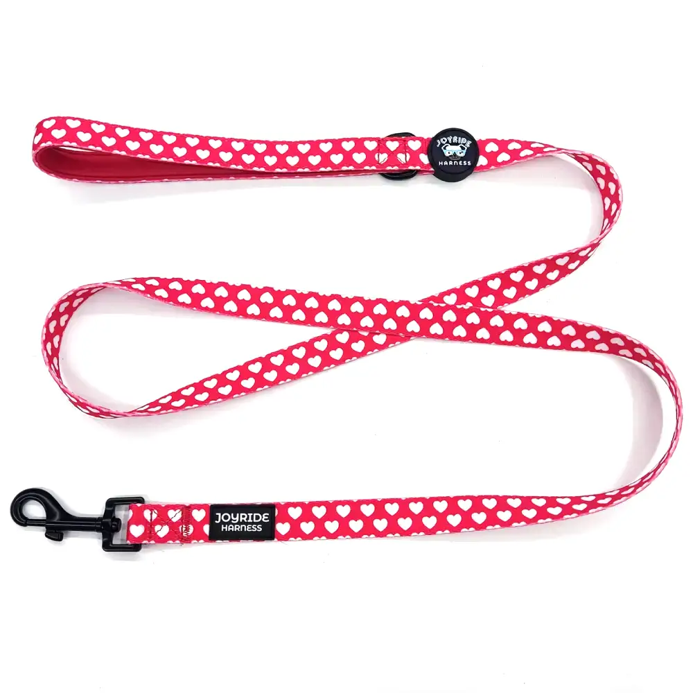 Red Hearts Matching Dog Leash - Image 5