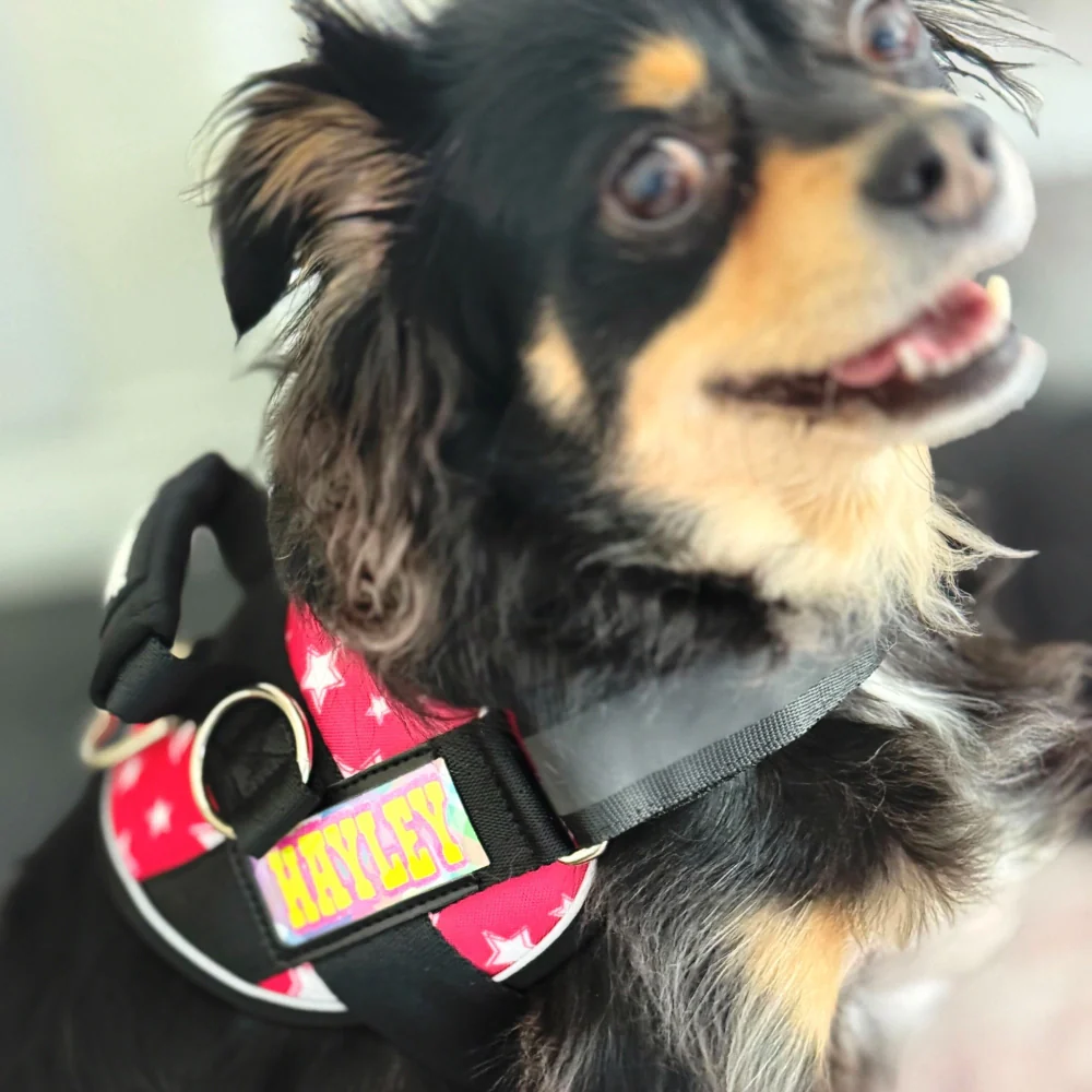 Spring Exclusive Custom Name Tag - Image 3
