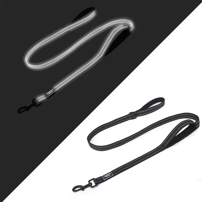 Teal 2 in 1: Dog Leash/Seatbelt Combo | 15% Off - Image 3