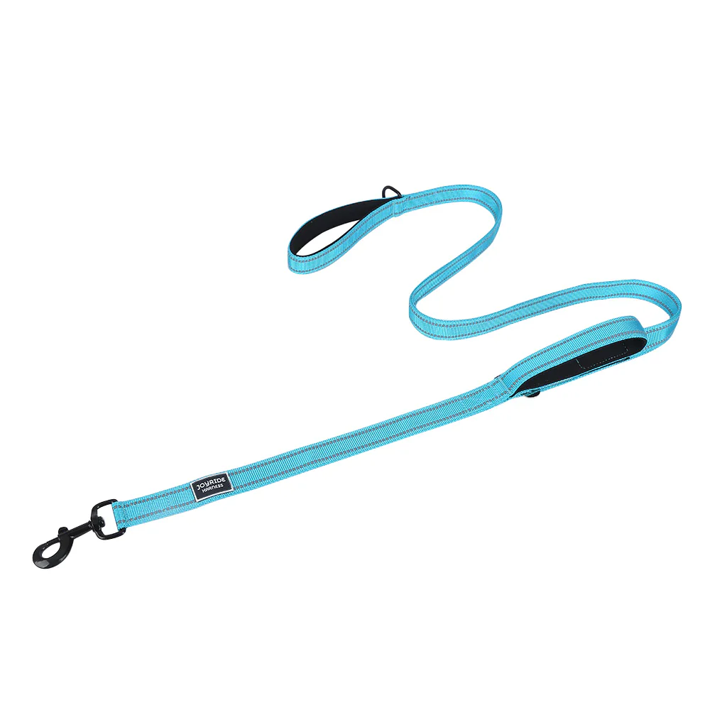 Teal 2 in 1: Dog Leash/Seatbelt Combo | 15% Off - Image 4