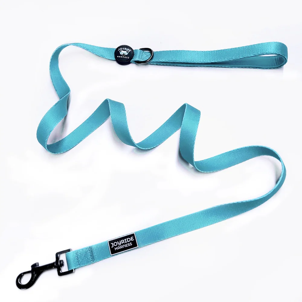 Teal Ocean Matching Dog Leash - Image 2
