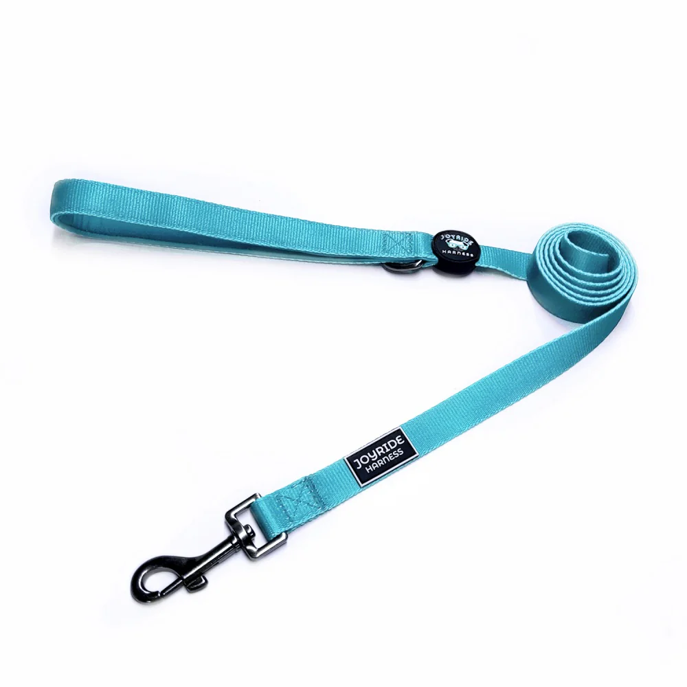 Teal Ocean Matching Dog Leash - Image 3