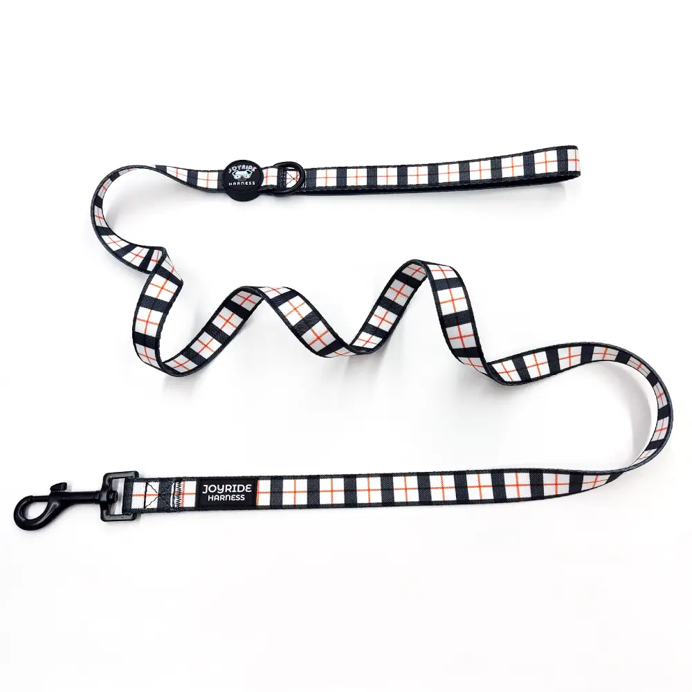 White Plaid Matching Dog Leash - Image 4
